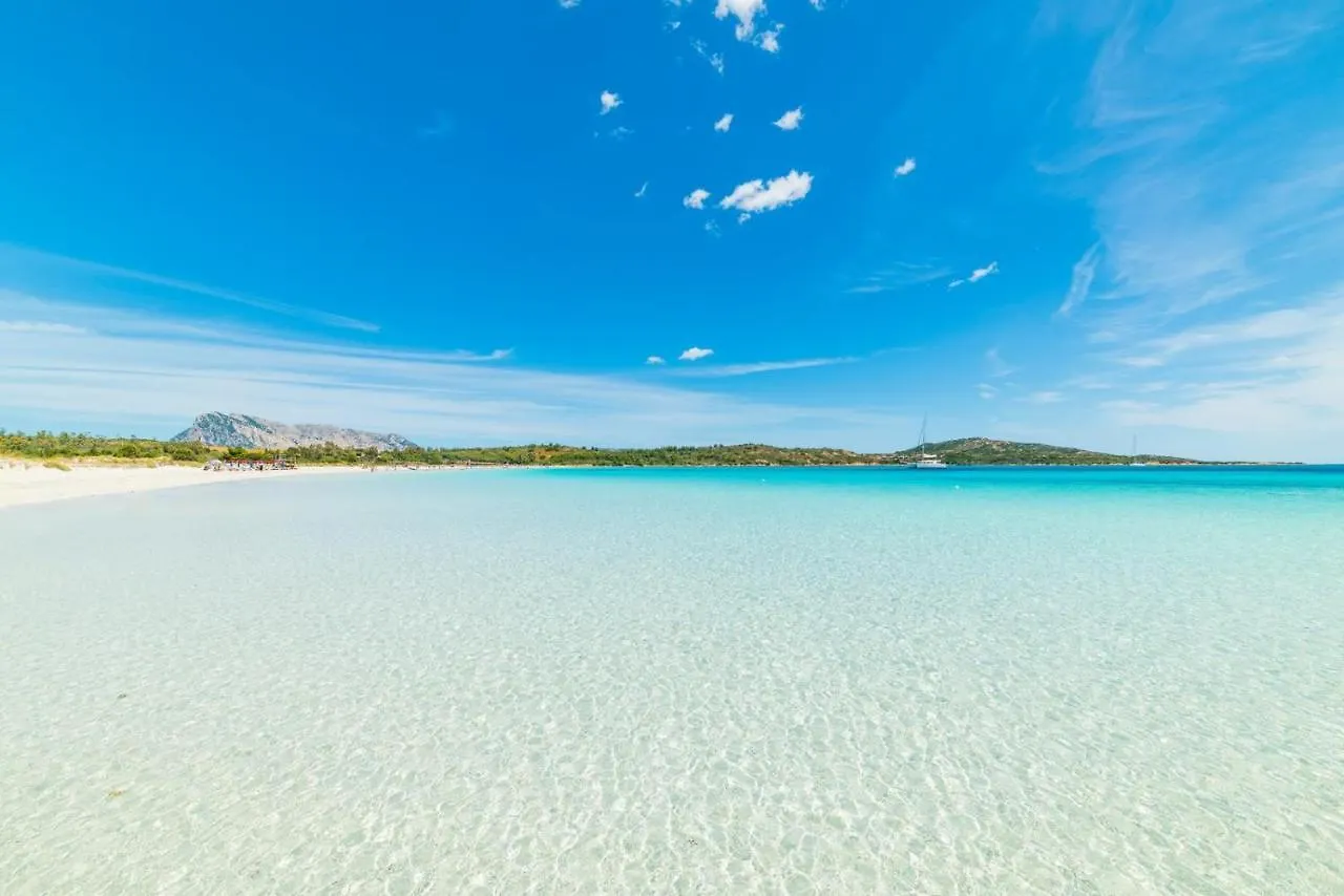 Al Lungomare Hotell Olbia Italien