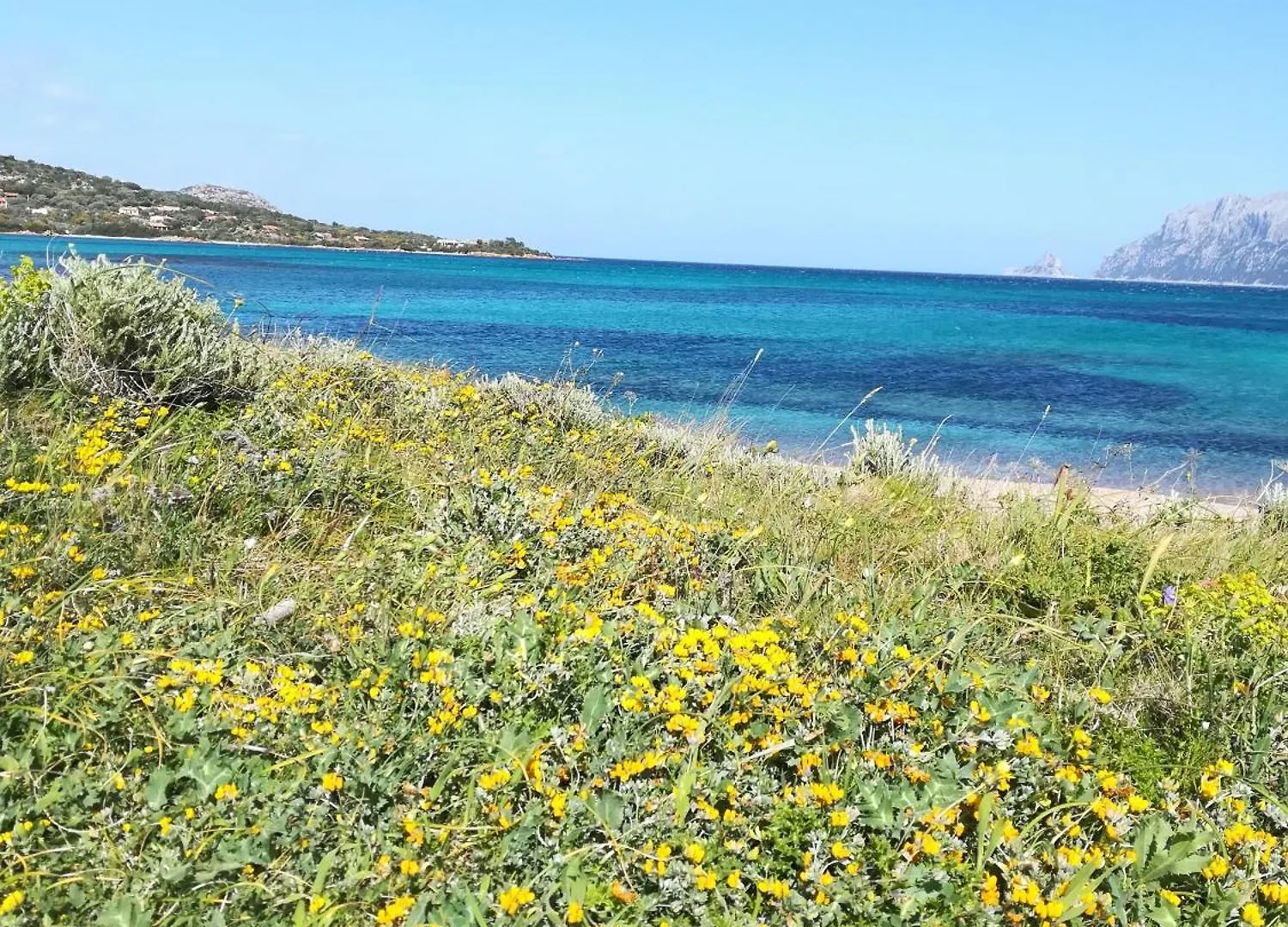 Al Lungomare Hotel Olbia